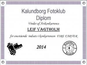 Diplom  Leif  2014