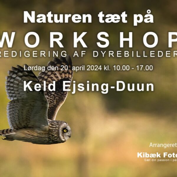 “NATUREN TÆT PÅ” WORKSHOP – REDIGERING AF DYREBILLEDER