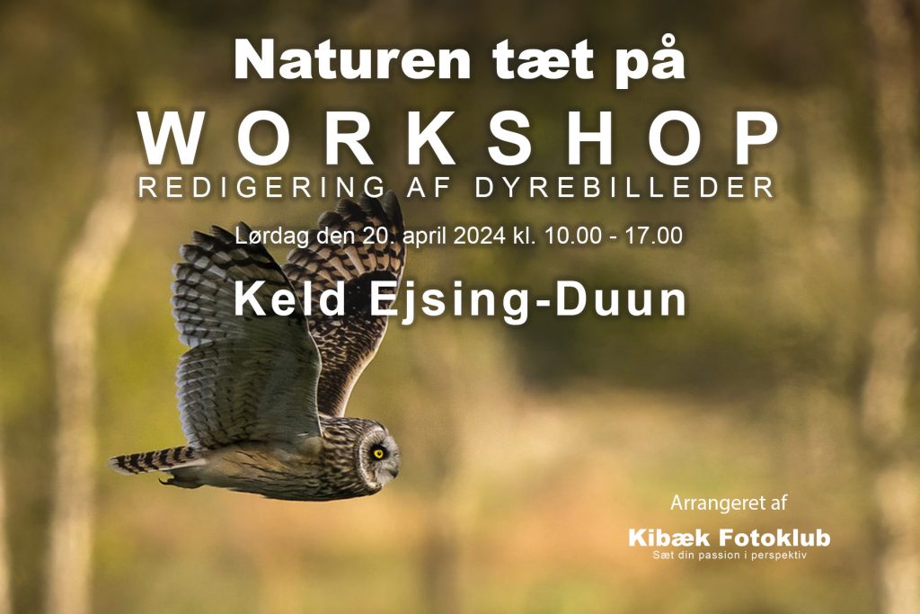 “NATUREN TÆT PÅ” WORKSHOP – REDIGERING AF DYREBILLEDER