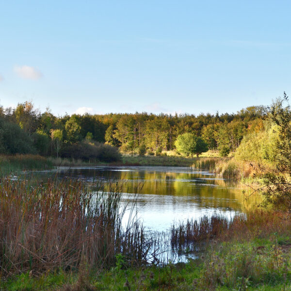 Sæsonafslutning