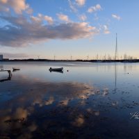 aften ved havnen 004-_01 