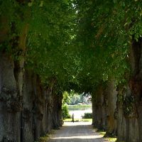 Stor natur- lille menneske 