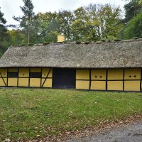 Ulkerup skov 20-10-2020_ 004- 