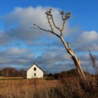 Foto Ved Fedkrog Strand 