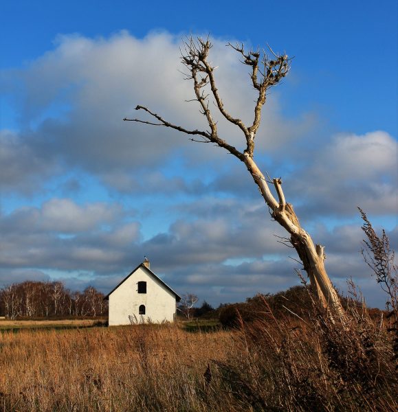 Foto Ved Fedkrog Strand